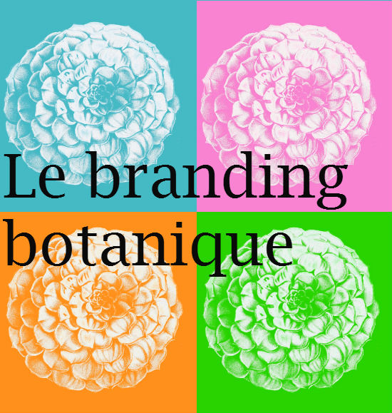 brandingbotanique