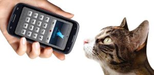 Human-to-Cat-Translator-app