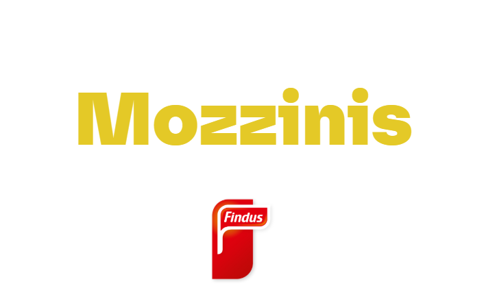 Mozzinis