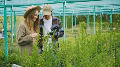 Focus sur l'Identité Naming et Visuelle de l'Agritech !